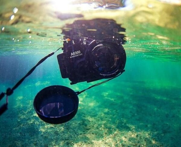How to Get Reliable Asset Underwater Camera Housing Repair and Dive Gear Services in the Middle East